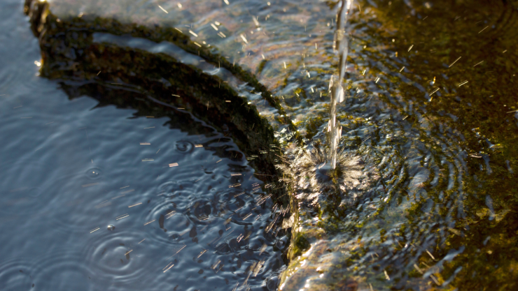 _SAPAL anuncia que los tandeos de agua en León podrían terminar en marzo 2025 con la habilitación de 7 pozos.png