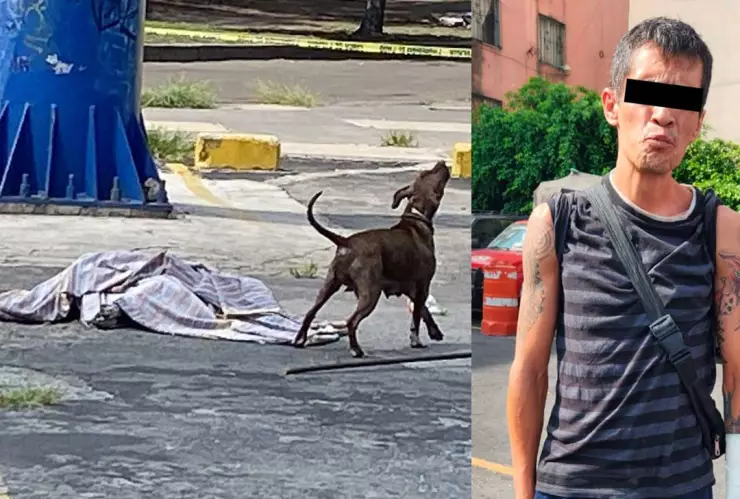 Sujeto dispara y mata al perrito Zeus en Eje Central en CDMX