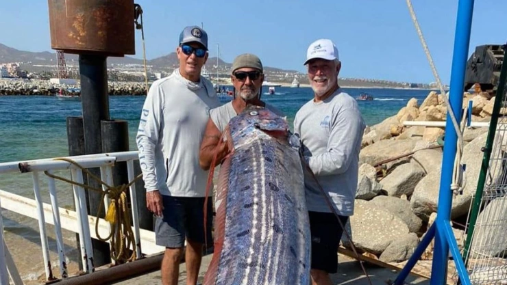 Hallan enorme Pez Terremoto en Baja California