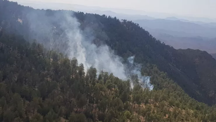 Controlan incendio forestal en la Sierra San Pedro Mártir en Baja California en julio del 2022 .jp