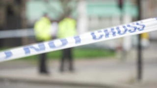 Localizan fosa clandestina en carretera Silao-Irapuato, confirma Fiscalía General del Estado de Guanajuato.png