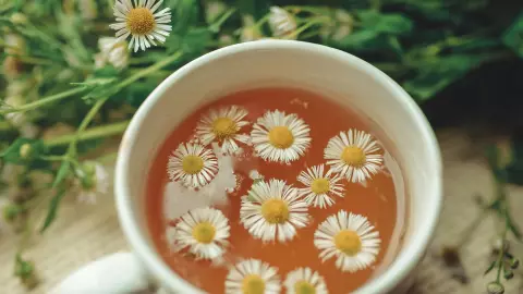 La manzanilla es rica en antioxidantes y tiene propiedades antiinflamatorias