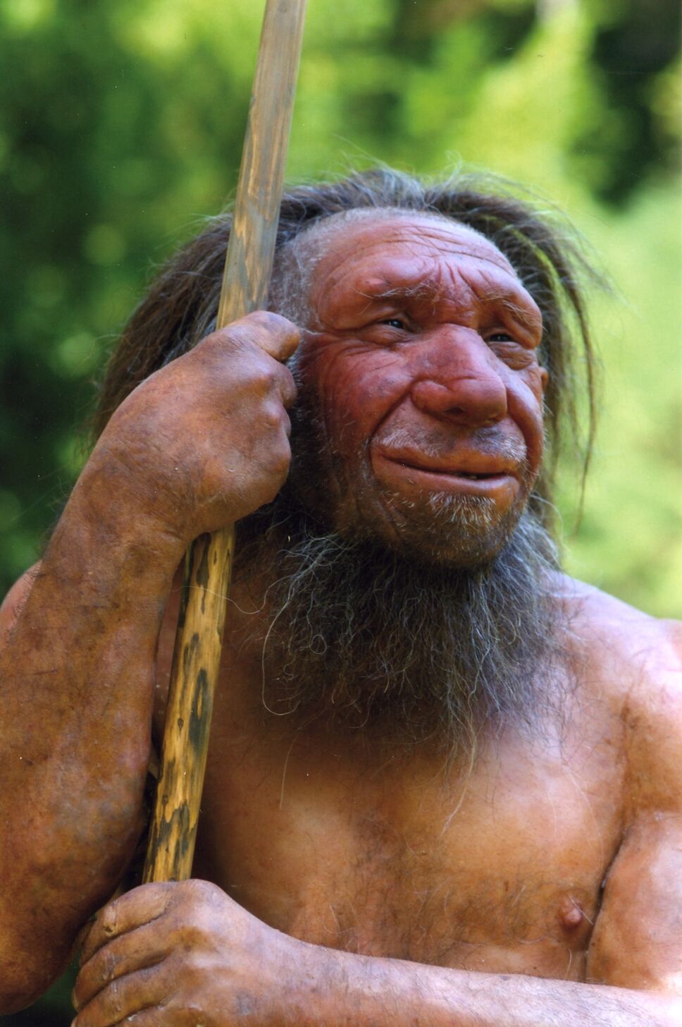 Fósiles, Homo sapiens, antiguos 3.jpg