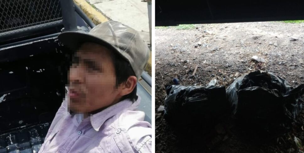 cabeza humana