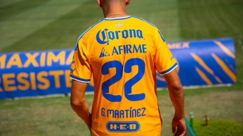 Memote Martínez Tigres