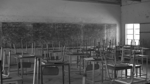 ¡Chinches ‘invaden’ Coahuila! 70 escuelas son afectadas por plaga; ¿qué dicen las autoridades?