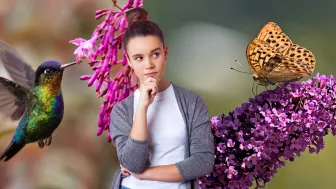 2 plantas que te ayudarán a atraer sí o sí muchos colibríes y mariposas a tu jardín