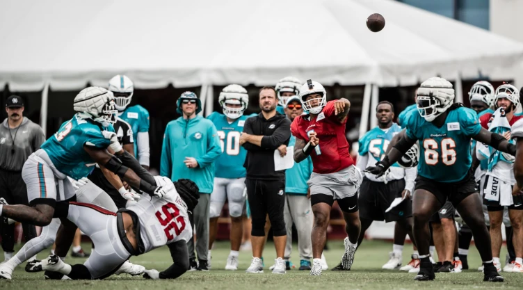 Dolphins.jpg