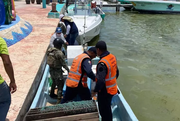 Aseguran embarcación y artes de pesca en la isla Holbox; aquí los detalles
