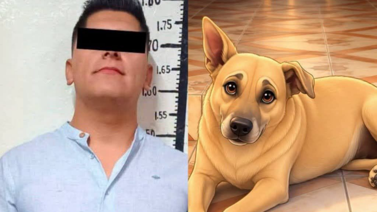 Muere el perro Cuetes tras ser atropellado en Chiapas