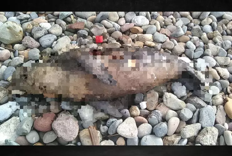 Aparecen animales sin cabeza en Playas de Tijuana ¿Qué es lo que se sabe (FOTO)?