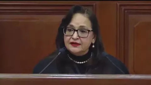 norma lucía piña trayectoria