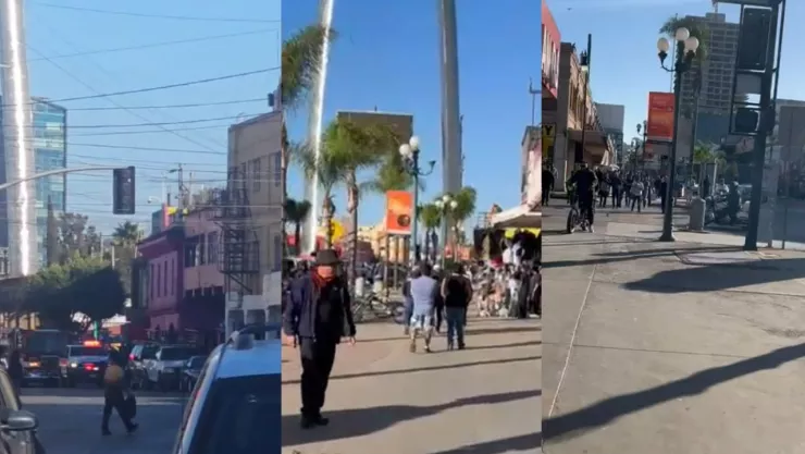 ¿Qué pasó en la avenida Revolución en Tijuana hoy domingo 15 de diciembre de 2024 (VIDEO)