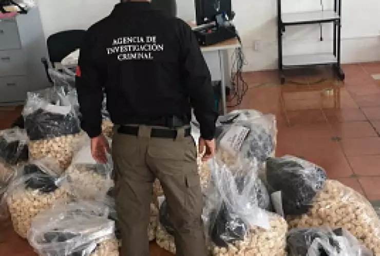 Decomisan 35 mil huevos de tortuga en Oaxaca