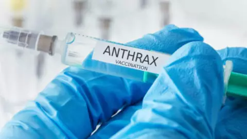 OMS alerta por brote de ántrax; qué es y cuáles son los síntomas