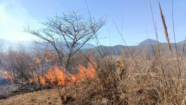 Las condiciones meteorológicas no han permitido que combatan el incendio por aire.