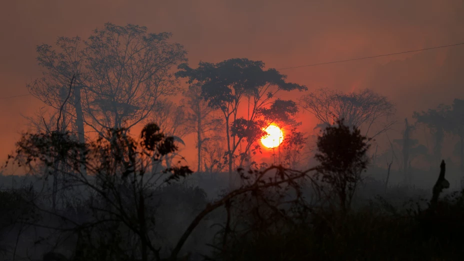 Amazonia