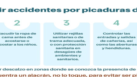Temporada de alacranes: En estos lugares de tu casa podrían estar escondidos
