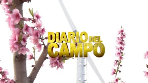 DIARIO DEL CAMPO MUNDO SORPRENDENTE
