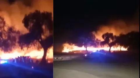 1280 x 720 px (53).jpg