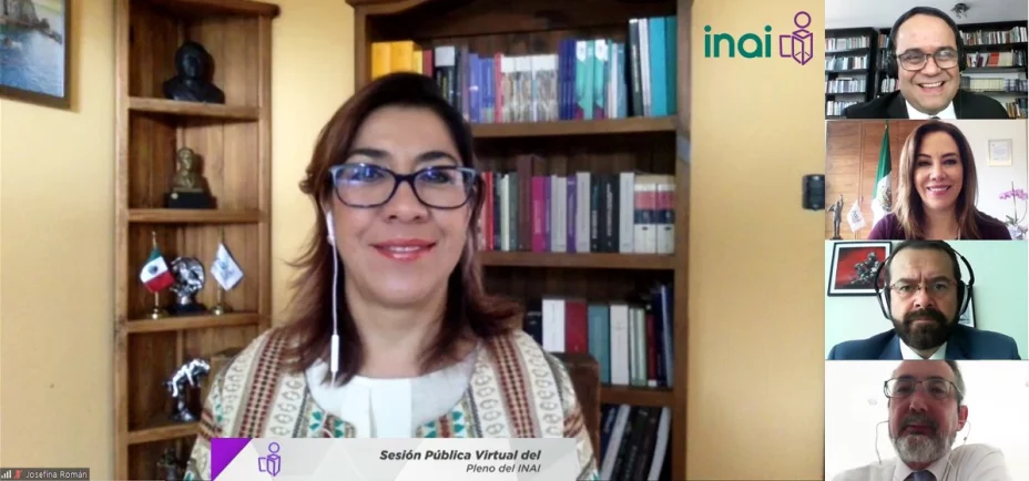 Foto comisionada Josefina Román Vergara (1).jpg