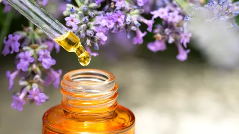 Las fragancias que están en miles de perfumes y alejan a los alacranes