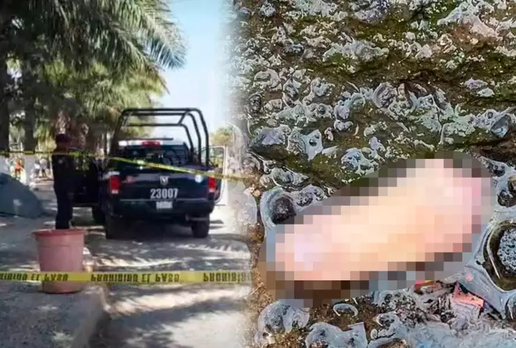 Encuentran dedo y restos de una mano