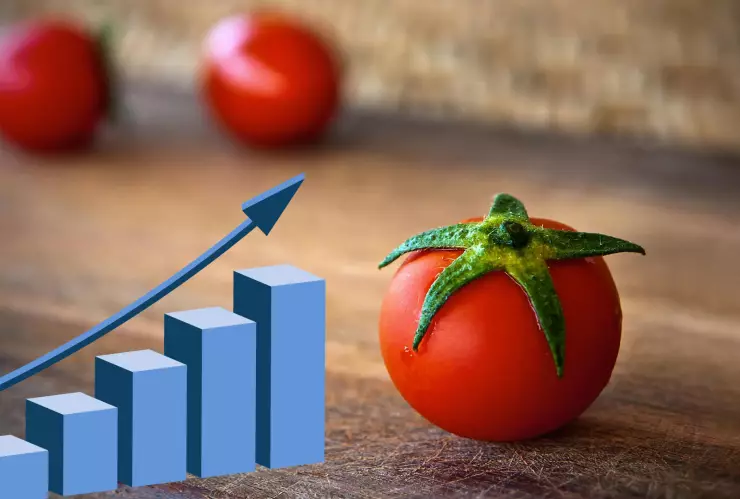 ¡Más caro! Este es el precio del kilo de jitomate hoy 23 de junio