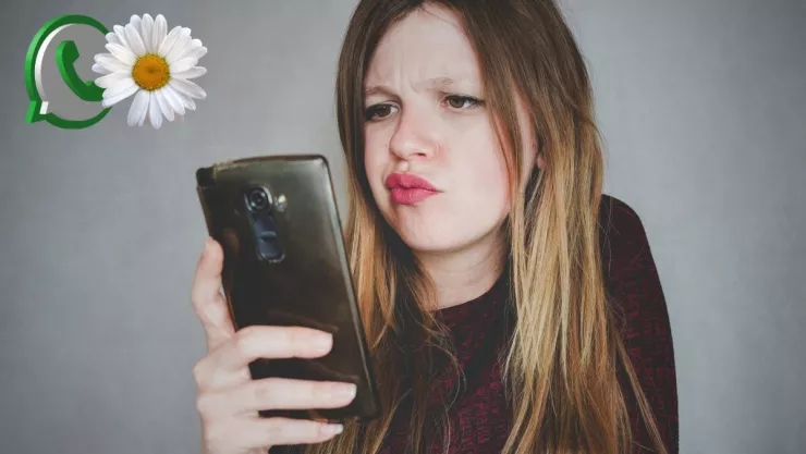 Cómo cambiarle el ícono a tu WhatsApp por el modo primavera.jpg