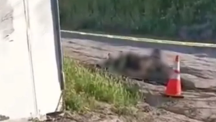 Pareja calcinada en Tijuana en Terrazas del Valle