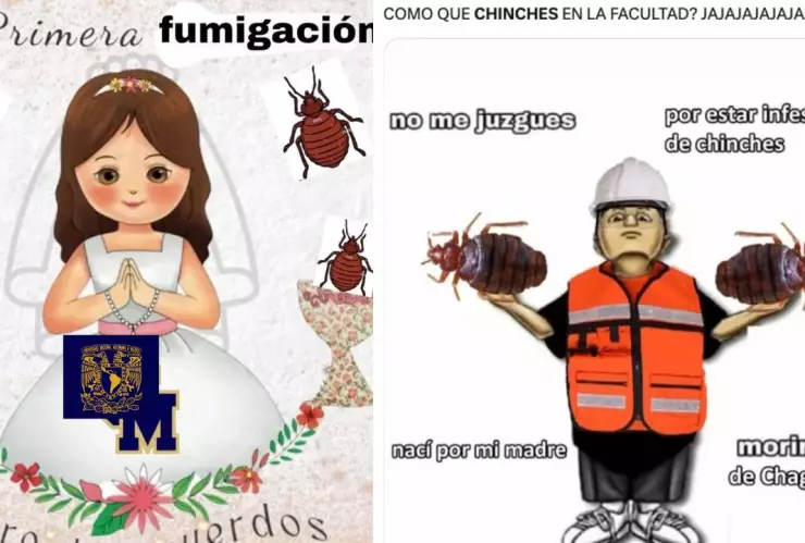 "¡Recuerdo de mi primera fumigación de chinches en la UNAM!”