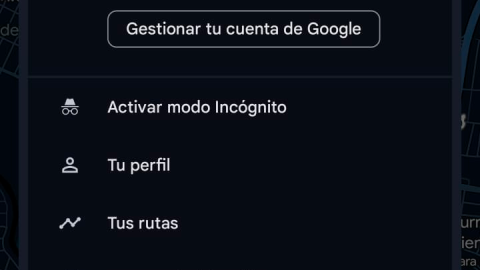 Selecciona Preferencias de navegación o Configuración de navegación en Google Maps..png