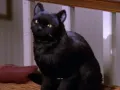 salem-saberhagen-sabrina-la-bruja-adolescente