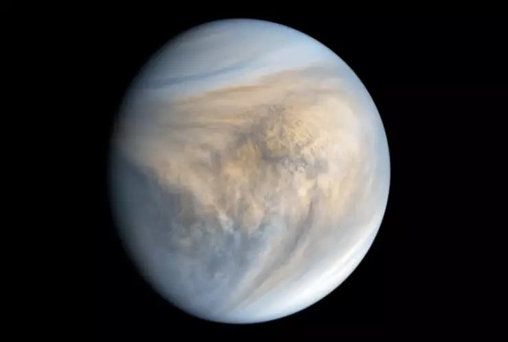 Venus, océanos, teoría W.png