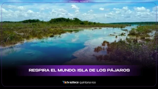Respira el mundo: Isla de los Pájaros
