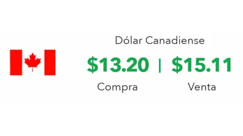 Precio del dólar en México hoy 26 de noviembre 2024; tipo de cambio