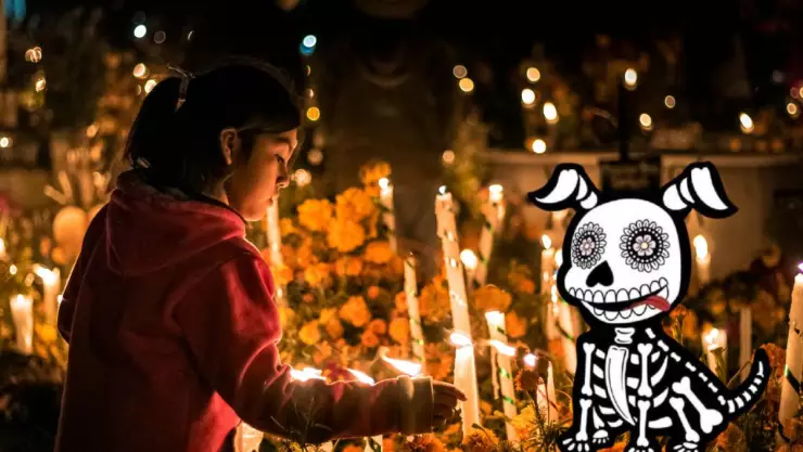 dia de muertos mascotas.