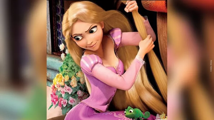 Estas son las conexiones que existen entre Enredados y Hércules.