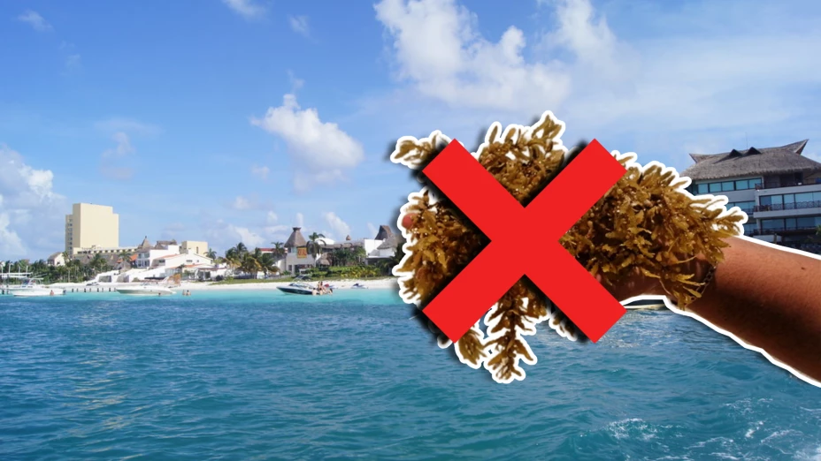 Conoce las playas libres de sargazo en Quintana Roo HOY 21 de septiembre de 2025_ Lista desde Holbox, Cancún, Tulum a Xcalak.jpg