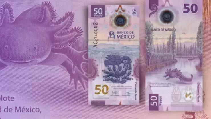 ¡OFERTÓN! Dan hasta 3 MILLONES por este billete del ajolote con una serie particular.