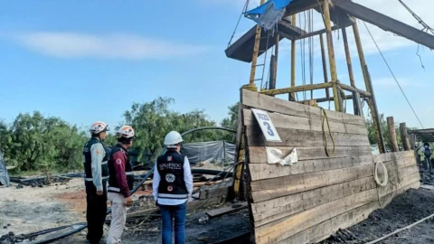 El Pinabete agua 24 meses