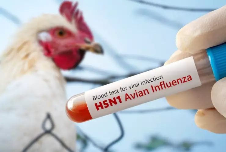 Niña de 3 años diagnosticada con influenza aviar muere en Torreón.jpeg