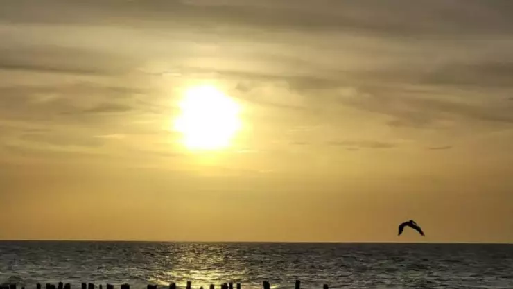 primera ola de calor yucatan 2025