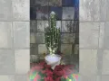 Belinda Navidad.jpg