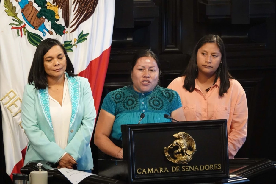 Avances en la ley que protege a los pueblos indígenas y afromexicanos .jpg