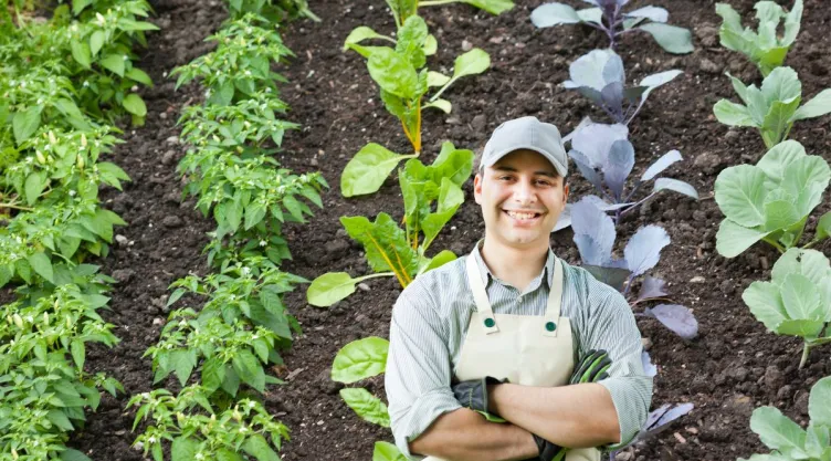 Estos son los vegetales que debes sembrar en octubre para que crezcan en otoño