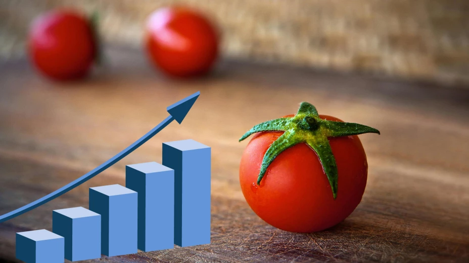 Qué influye en el costo del kilo de jitomate en Guadalajara Este es su precio hoy 7 de julio