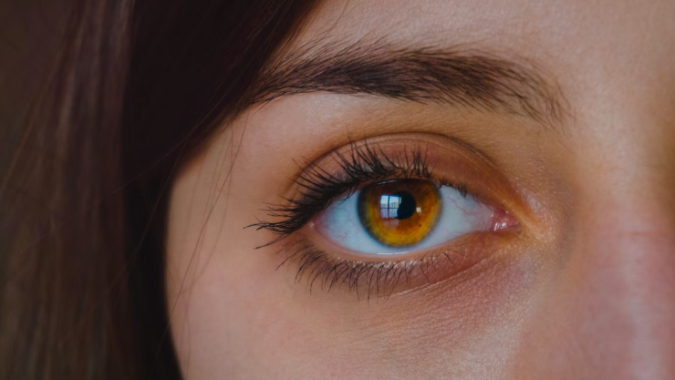 Alerta: virus marino salta a humanos y causa ceguera tras comer mariscos