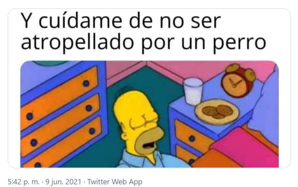 perrito_memes