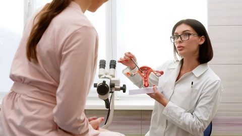 Una doctora señala una maqueta del aparato reproductor femenino a una paciente.